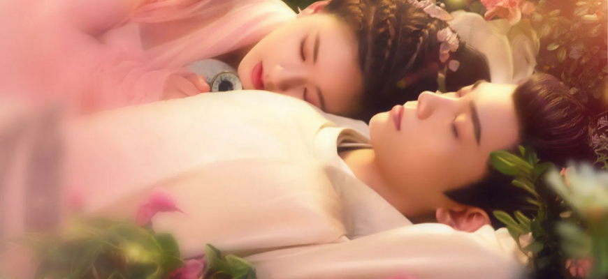 Роман тигра и розы